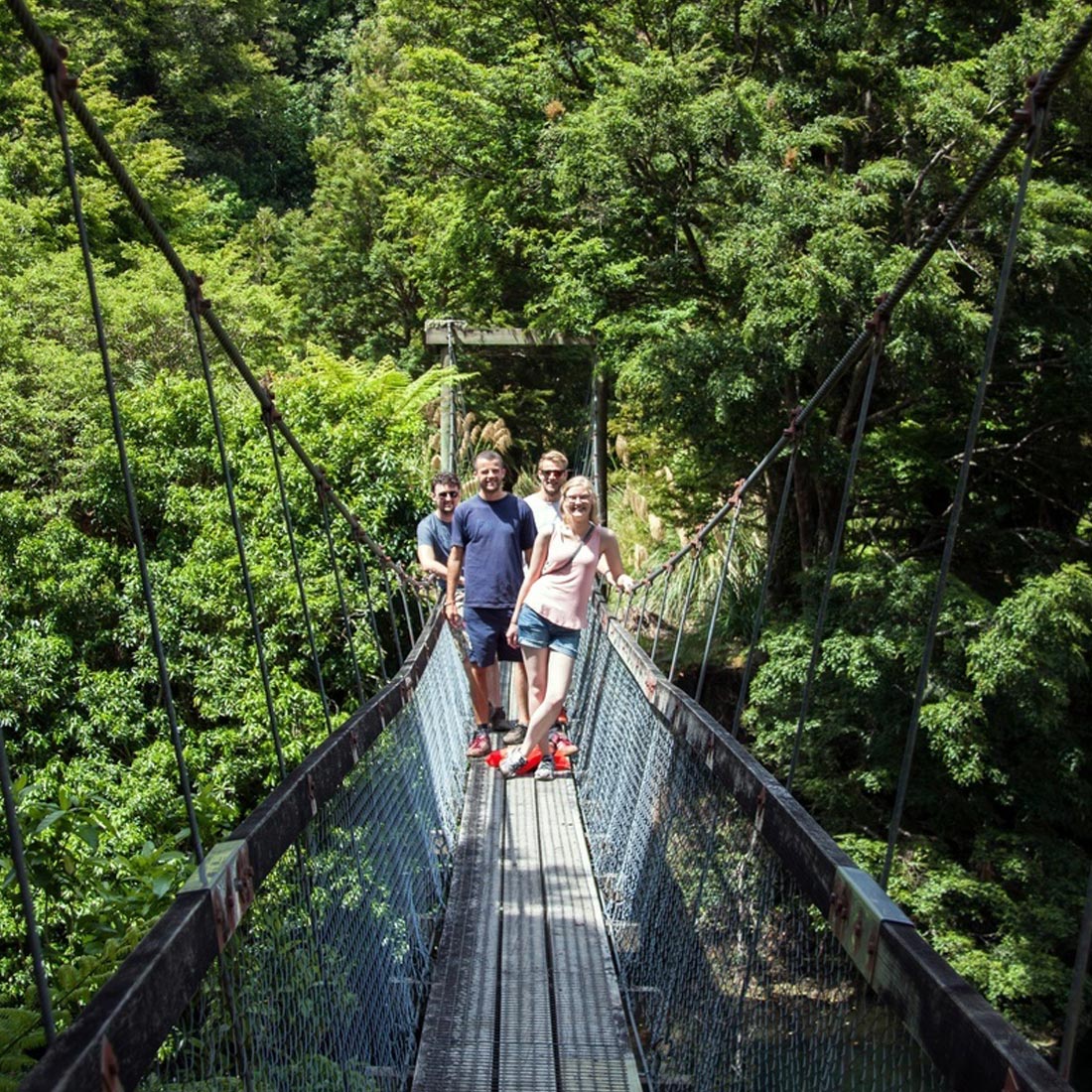 boutique accommodation napier bush walks