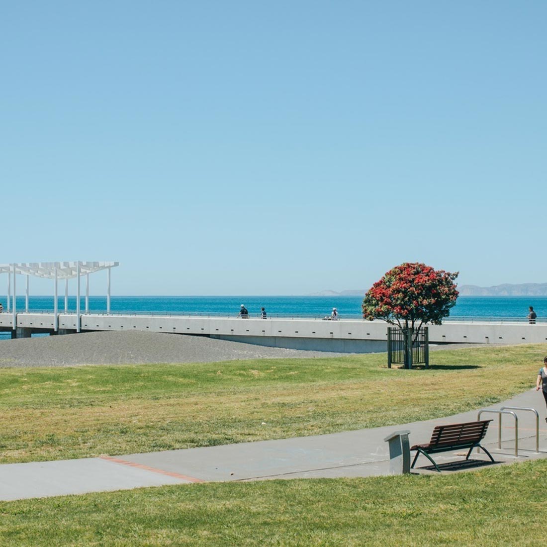 boutique accommodation napier marine parade