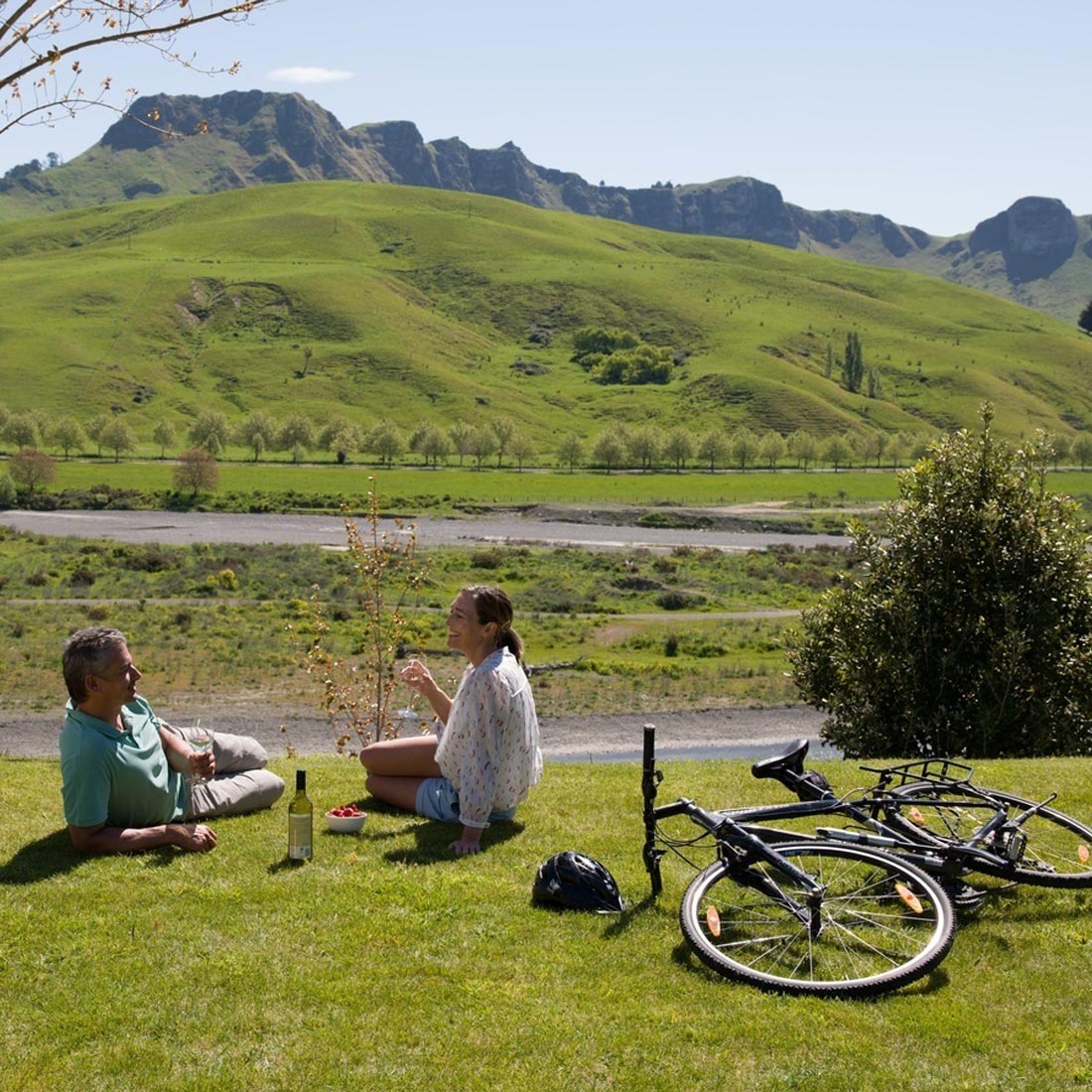 boutique accommodation napier te mata peak river picnic